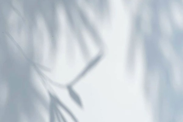 ![PETG degradation in sunlight, effect of UV exposure on PETG](https://jinlinpackaging.com/wp-content/uploads/2024/11/Does-PETG-Degrade-in-Sunlight.jpg "PETG degradation in sunlight")