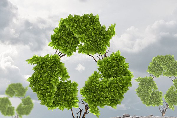 ![Is PBT Plastic Sustainable and Eco-Friendly](https://jinlinpackaging.com/wp-content/uploads/2024/11/Is-PBT-Plastic-Sustainable-and-Eco-Friendly.jpg "Sustainability of PBT Plastic")